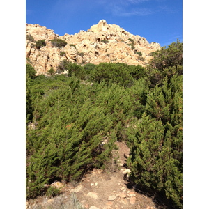 照片 意大利(Italy) 科蒂乔湾(Cala Coticcio) 2012-09 57