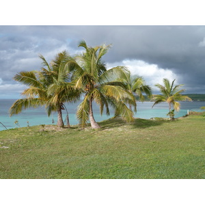 照片 新喀里多尼亚(New Caledonia) 利富岛(Lifou) 韦(We) 2010-05 11