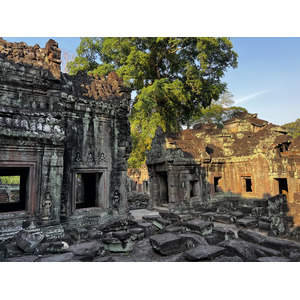 照片 柬埔寨(Cambodia) 暹粒(Siem Reap) 圣剑寺(Preah Khan) 2023-01 70