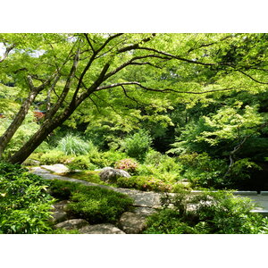 照片 日本(Japan) 东京(Tokyo) 根津美术馆(Nezu Museum) 2010-06 2