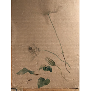 照片 意大利(Italy) 西西里岛(Sicily) 巴勒莫(Palermo) 诺曼王宫(Palazzo dei Normanni) 2020-02 165