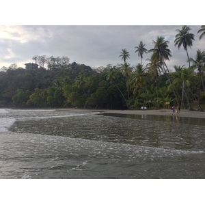 照片 哥斯达黎加(Costa Rica) 曼努埃尔安东尼奥(Manuel Antonio) 2015-03 233