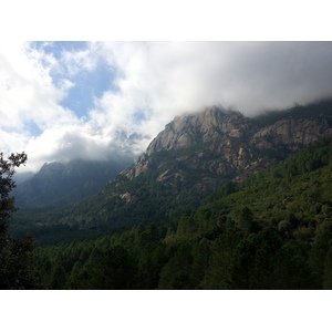 照片 法国(France) 科西嘉岛(Corsica) 索伦扎拉(Solenzara) 2012-09 1