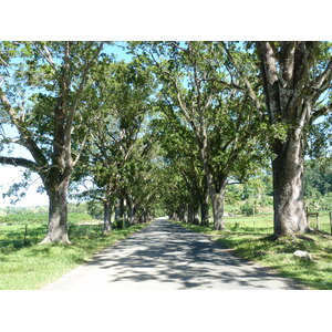 照片 斐济(Fiji) 辛加东卡河(Sigatoka river) 2010-05 50