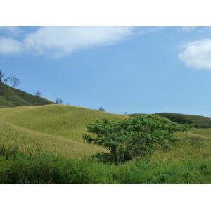 照片 斐济(Fiji) 楠迪至纳塔多拉公路(Nadi to Natadola road) 2010-05 89