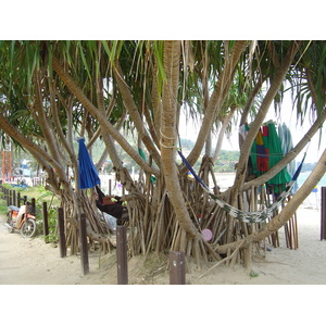 照片 泰国(Thailand) 普吉岛(Phuket) 卡马拉海滩(Kamala Beach) 2005-12 65
