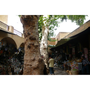 照片 摩洛哥(Morocco) 非斯(Fes) 2008-07 27