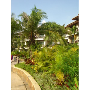 照片 泰国(Thailand) 考拉(Khao Lak) 考拉艾美酒店(Meridien Khao Lak Hotel) 2005-12 291