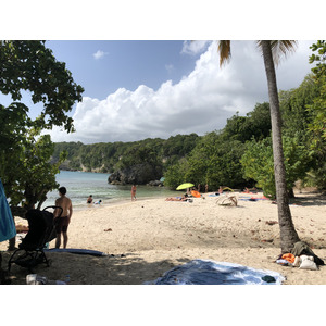 照片 瓜德罗普(Guadeloupe) 小阿弗尔海滩(Petit Havre Beach) 2021-02 25