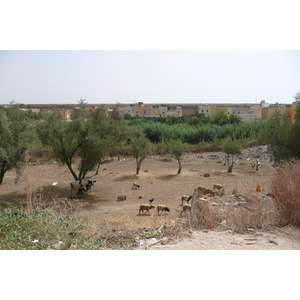 照片 摩洛哥(Morocco) 梅克内斯(Meknes) 2008-07 43