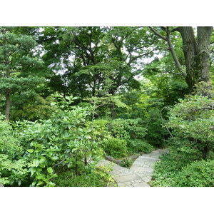 照片 日本(Japan) 东京(Tokyo) 根津美术馆(Nezu Museum) 2010-06 12