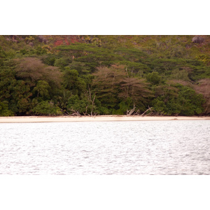 照片 塞舌尔(Seychelles) 居里厄斯岛(Curieuse) 2011-10 41