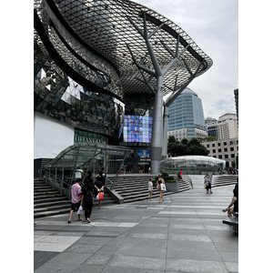照片 新加坡(Singapore) 乌节路(Orchard road) 2023-01 60