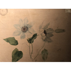照片 意大利(Italy) 西西里岛(Sicily) 巴勒莫(Palermo) 诺曼王宫(Palazzo dei Normanni) 2020-02 238