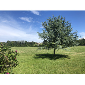 照片 法国(France) 布雷阿岛(Brehat Island) 2020-06 116