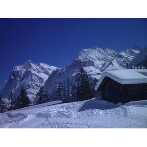 照片 瑞士(Switzerland) 格林德瓦(Grindelwald) 1999-04 16