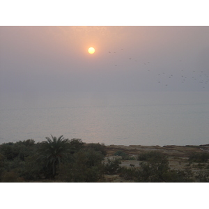 照片 约旦(Jordan) 死海(Dead Sea) 2004-11 13
