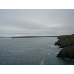 照片 英国(United Kingdom) 彭布罗克郡(Pembrokeshire) 马丁斯黑文(Martins Havens) 2006-05 17
