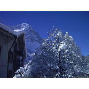 照片 瑞士(Switzerland) 格林德瓦(Grindelwald) 1999-04 10