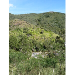 照片 新喀里多尼亚(New Caledonia) 通图塔至蒂奥公路(Tontouta to Thio road) 2010-05 28