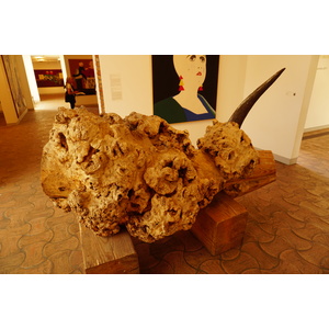照片 法国(France) 旺斯圣保罗(Saint Paul de Vence) 马格基金会(Fondation Maeght) 2017-08 144