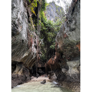 照片 泰国(Thailand) 甲米(Krabi) 2023-01 158