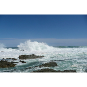 照片 南非(South Africa) 齐齐卡马国家公园(Tsitsikamma National Park) 2008-09 276