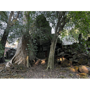 照片 柬埔寨(Cambodia) 暹粒(Siem Reap) 圣剑寺(Preah Khan) 2023-01 74