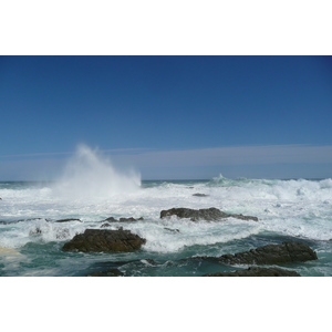 照片 南非(South Africa) 齐齐卡马国家公园(Tsitsikamma National Park) 2008-09 255