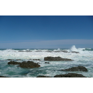 照片 南非(South Africa) 齐齐卡马国家公园(Tsitsikamma National Park) 2008-09 169