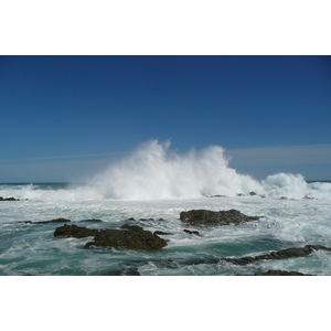 照片 南非(South Africa) 齐齐卡马国家公园(Tsitsikamma National Park) 2008-09 171