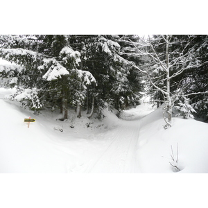 照片 法国(France) 梅杰夫(Megeve) 勒普拉奈(Le Planay) 2010-02 21