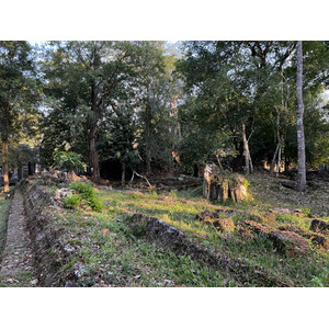 照片 柬埔寨(Cambodia) 暹粒(Siem Reap) 圣剑寺(Preah Khan) 2023-01 8