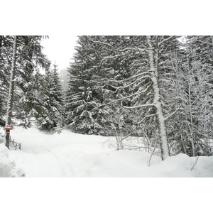 照片 法国(France) 梅杰夫(Megeve) 勒普拉奈(Le Planay) 2010-02 38