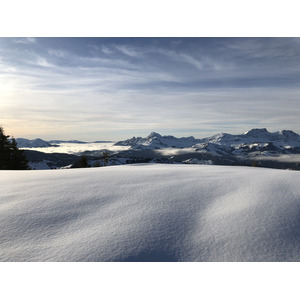照片 法国(France) 阿尔利河畔普拉(Praz sur Arly) 2019-12 243