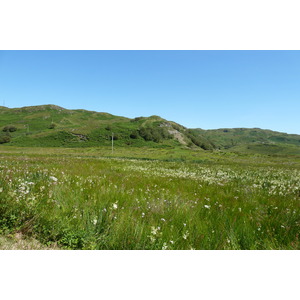 照片 英国(United Kingdom) 苏格兰(Scotland) 林尼湖(Loch Linnhe) 2011-07 19