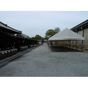 照片 日本(Japan) 京都(Kyoto) 二条城(Nijo Castle) 2010-06 73