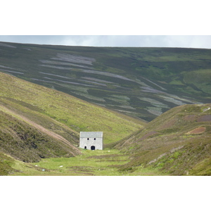 照片 英国(United Kingdom) 凯恩戈姆山国家公园(Cairngorms National Park) 2011-07 38