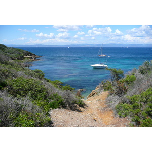 照片 法国(France) 波克罗勒岛(Porquerolles Island) 勒坎角(Pointe du Lequin) 2008-05 42