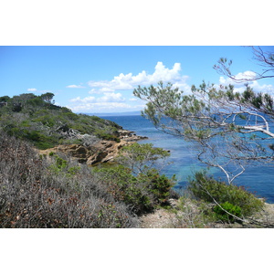 照片 法国(France) 波克罗勒岛(Porquerolles Island) 勒坎角(Pointe du Lequin) 2008-05 62