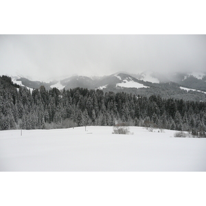 照片 法国(France) 梅杰夫(Megeve) 勒普拉奈(Le Planay) 2010-02 53