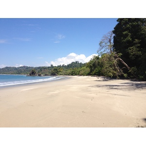 照片 哥斯达黎加(Costa Rica) 曼努埃尔安东尼奥(Manuel Antonio) 2015-03 313