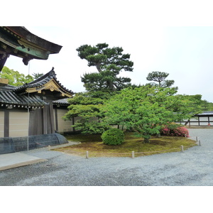 照片 日本(Japan) 京都(Kyoto) 二条城(Nijo Castle) 2010-06 43