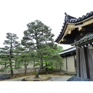 照片 日本(Japan) 京都(Kyoto) 二条城(Nijo Castle) 2010-06 16