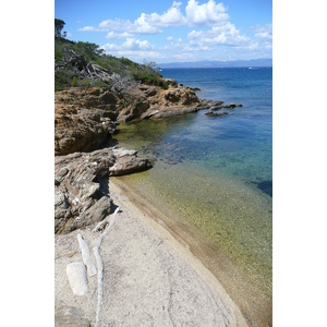 照片 法国(France) 波克罗勒岛(Porquerolles Island) 勒坎角(Pointe du Lequin) 2008-05 63