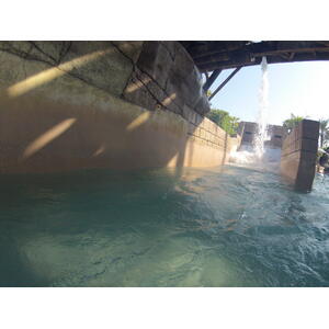 照片 阿联酋(United Arab Emirates) 迪拜(Dubai) 迪拜水世界(Dubai Aquaventure) 2012-01 35