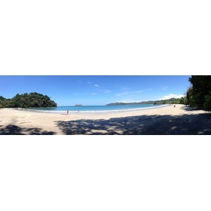 照片 哥斯达黎加(Costa Rica) 曼努埃尔安东尼奥(Manuel Antonio) 2015-03 262
