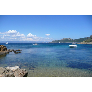 照片 法国(France) 波克罗勒岛(Porquerolles Island) 勒坎角(Pointe du Lequin) 2008-05 43