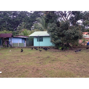 照片 哥斯达黎加(Costa Rica) 塔拉曼卡旧港(Puerto Viejo de Talamanca) 2015-03 52
