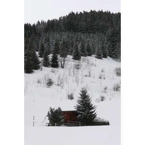 照片 法国(France) 梅杰夫(Megeve) 勒普拉奈(Le Planay) 2010-02 48